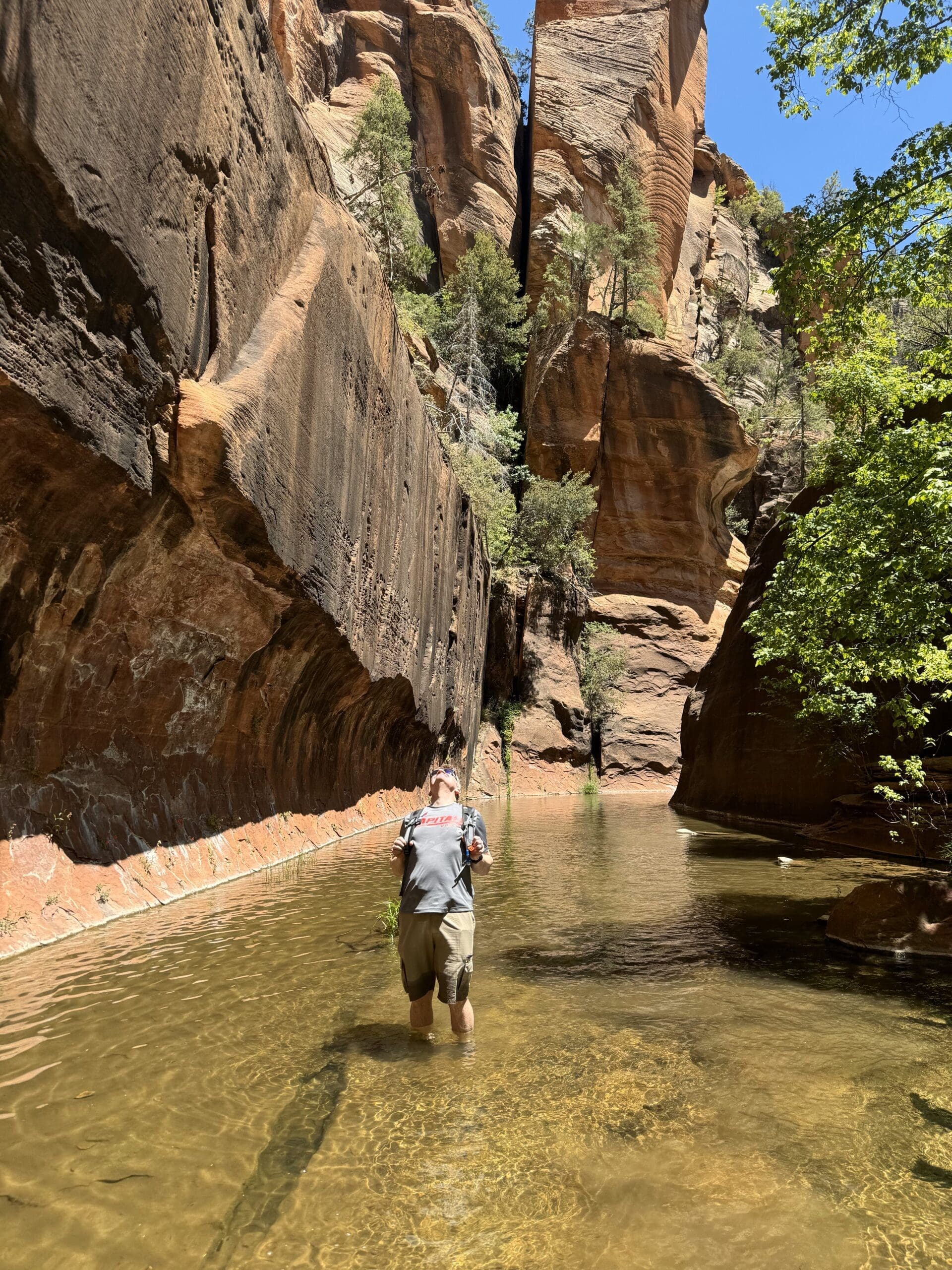 Bill Phillips in Sedona